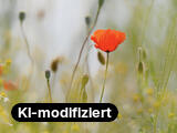 25 Jahre Weblication®